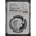 2023 BIG 5 SERIES 2 - 1oz SILVER BUFFALO PF69 ULTRA CAMEO NGC