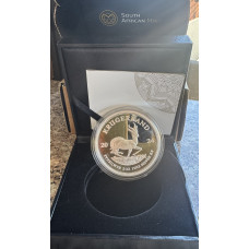 2024 KRUGERRAND 2oz FINE SILVER *PROOF* IN SAMINT BOX & CERTIFICATE