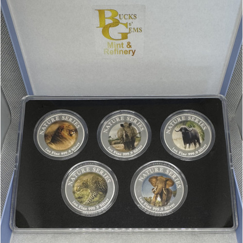 2024 NATURE SERIES AFRICAN BIG 5 SET 1oz SILVER COLORIZED 