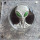 2oz SILVER 999.9 FINE - THE ALIEN (WE ARE HERE) 2000 FRANCS CFA (GLOW IN DARK) COIN - HIGH RELIEF