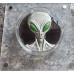 2oz SILVER 999.9 FINE - THE ALIEN (WE ARE HERE) 2000 FRANCS CFA (GLOW IN DARK) COIN - HIGH RELIEF