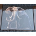2024 BIG 5 - SERIES 2 - 5oz SILVER PROOF *ELEPHANT*- IN SAMINT BOX AS ISSUED & CERTIFIED