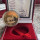 2001 KRUGERRAND PROOF 1oz FINE GOLD ORIGINAL AS ISSUED SAMINT BOX & CERTIFICATE